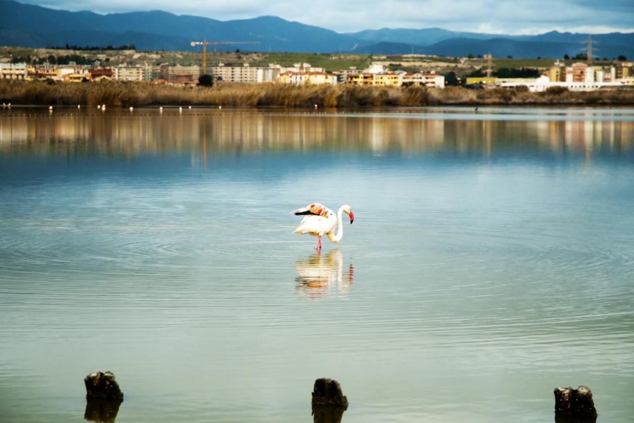 Villa Salmagi - Sardegna Terra Mala Bagian luar foto